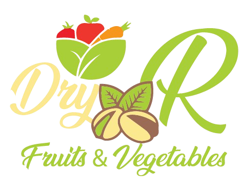 DryR Logo